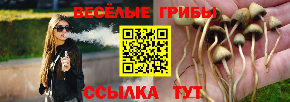 Псилоцибиновые грибы Cubensis Нягань